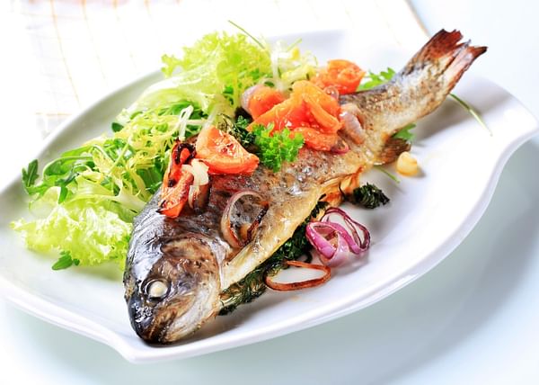 Himalayan Trout